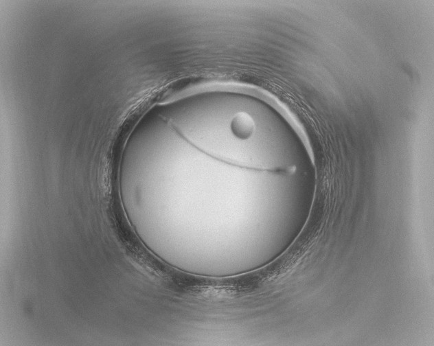 X0000116390303200912231114