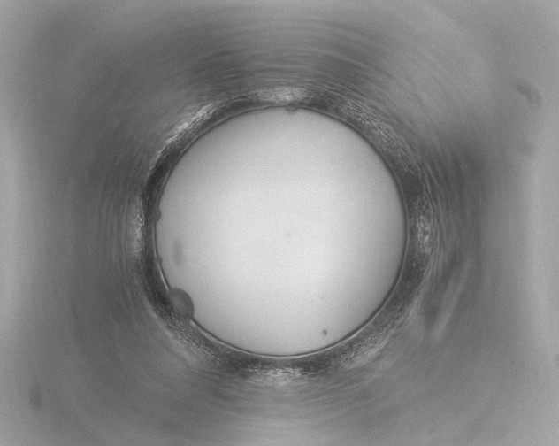 X0000116390304200912231114