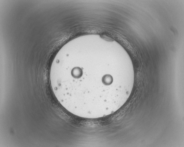 X0000116390305200912231114