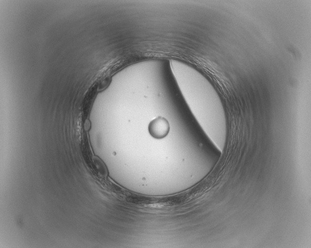 X0000116390312200912231114