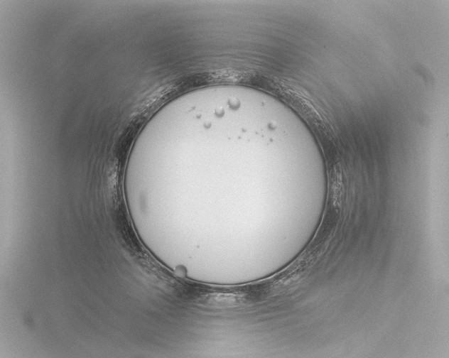 X0000116390314200912231114