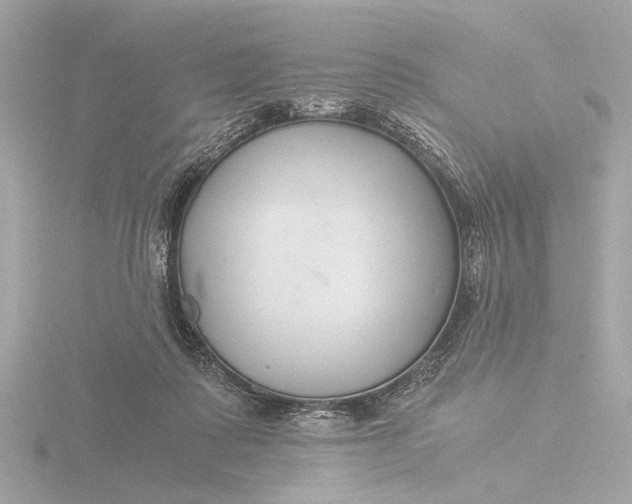 X0000116390315200912231114