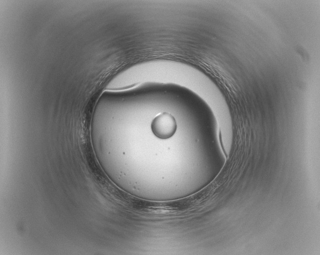 X0000116390316200912231114