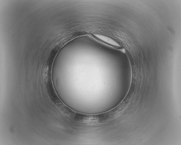 X0000116390319200912231114