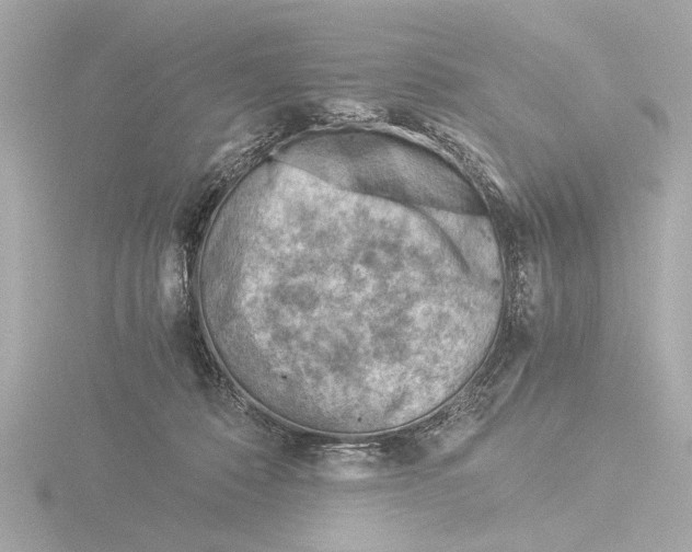 X0000116390320200912231114