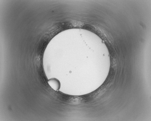 X0000116390321200912231114