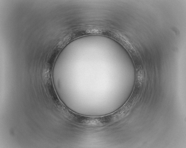 X0000116390322200912231114