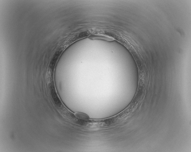 X0000116390323200912231114