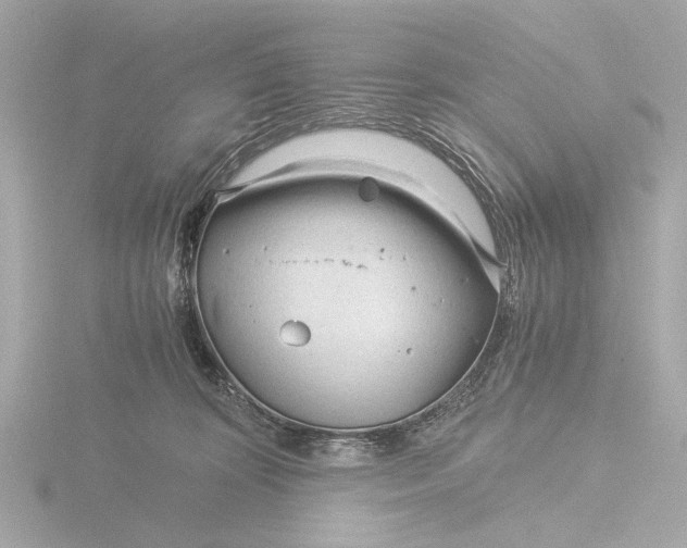 X0000116390324200912231114