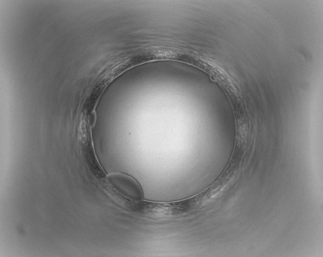 X0000116390325200912231114