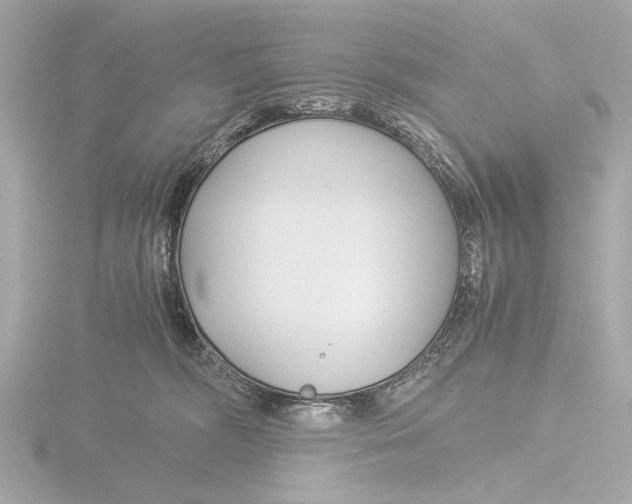 X0000116390326200912231114