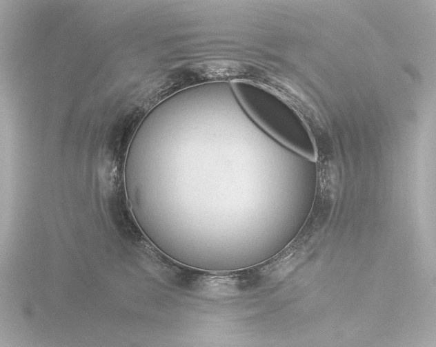 X0000116390327200912231114