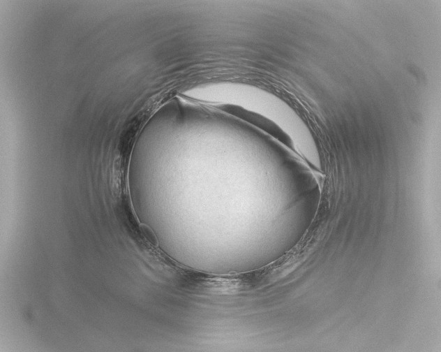 X0000116390328200912231114