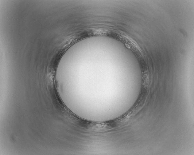 X0000116390329200912231114