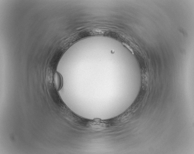 X0000116390331200912231114