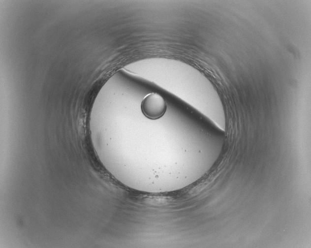 X0000116390332200912231114