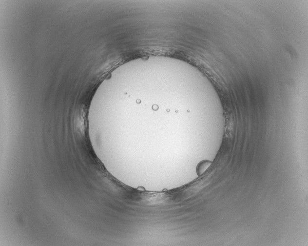 X0000116390334200912231114