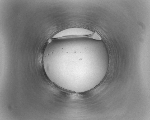 X0000116390336200912231114