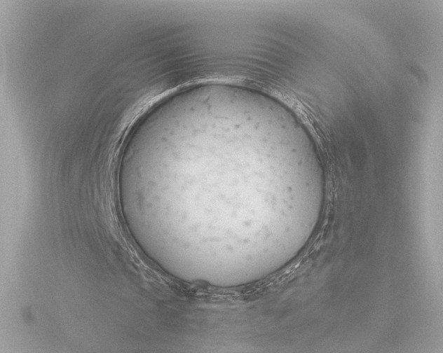 X0000116390337200912231113