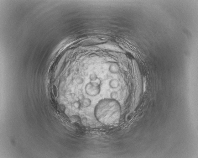 X0000116390339200912231113