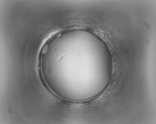 X0000116390342200912231113