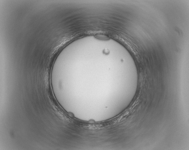 X0000116390345200912231113