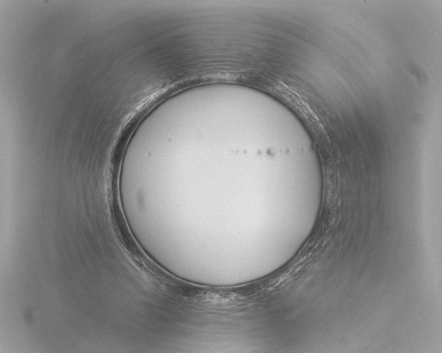 X0000116390346200912231113