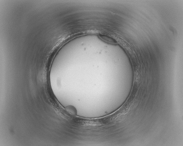 X0000116390347200912231113