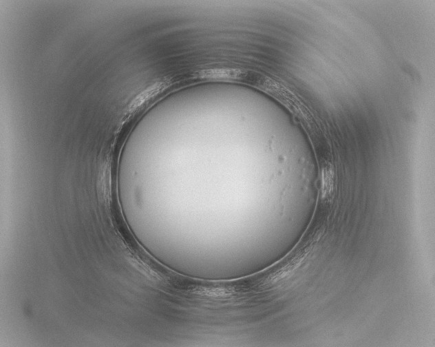 X0000116390349200912231114