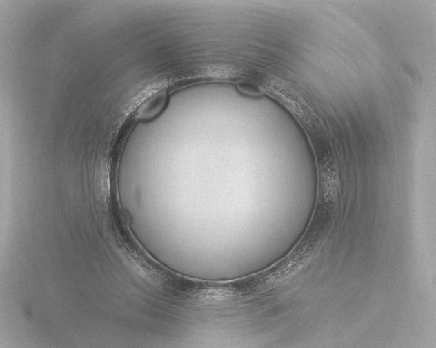 X0000116390350200912231114