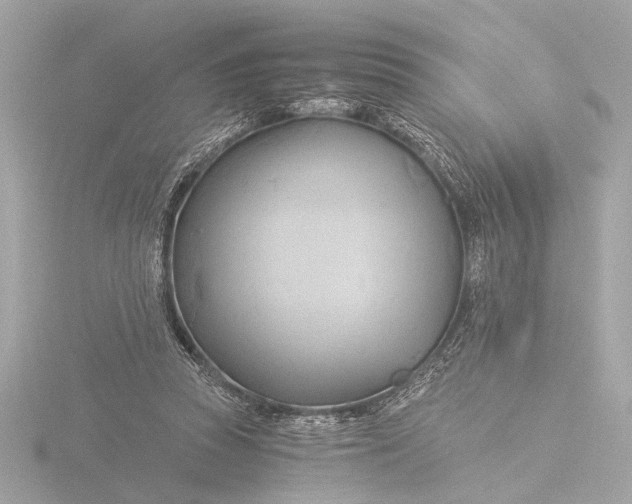 X0000116390353200912231114