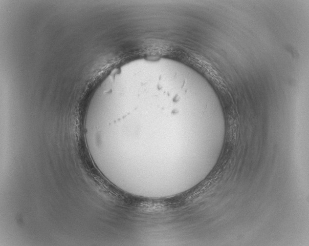 X0000116390354200912231114