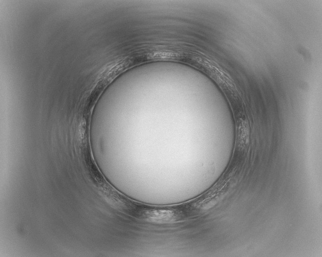 X0000116390361200912231114