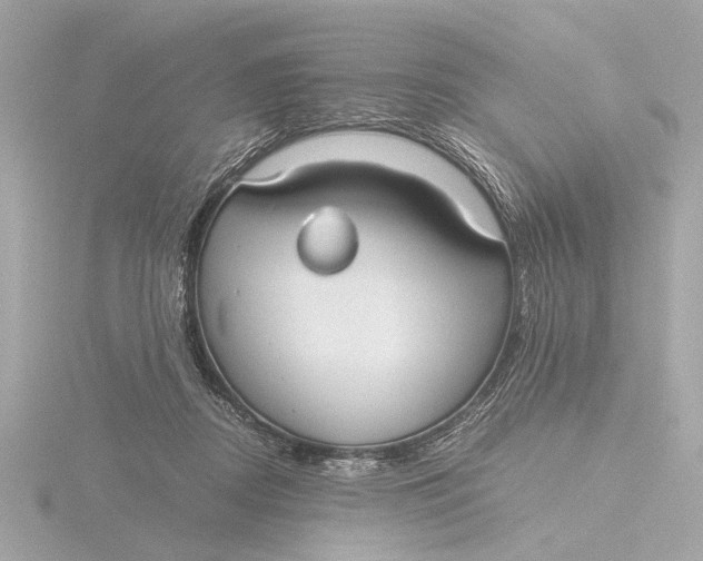 X0000116390362200912231114