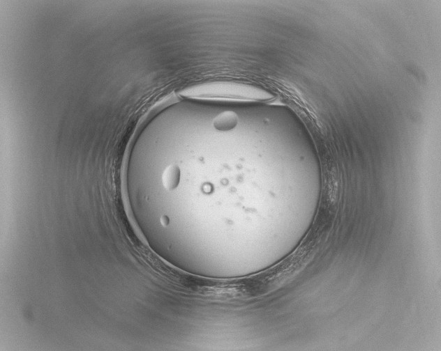 X0000116390366200912231114