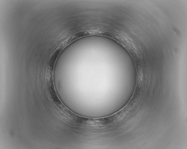 X0000116390367200912231114