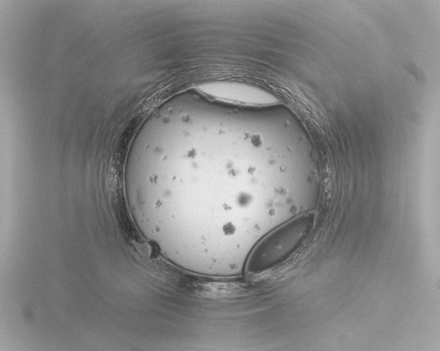 X0000116390371200912231114