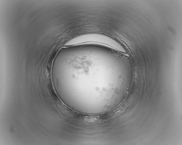 X0000116390373200912231114