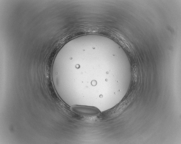 X0000116390374200912231114