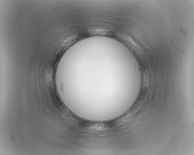 X0000116390377200912231114