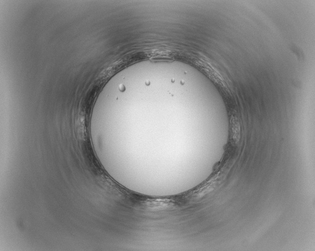 X0000116390378200912231114