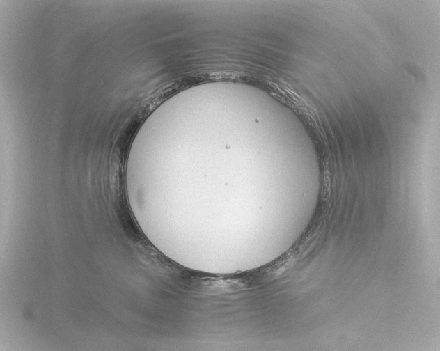 X0000116390379200912231114