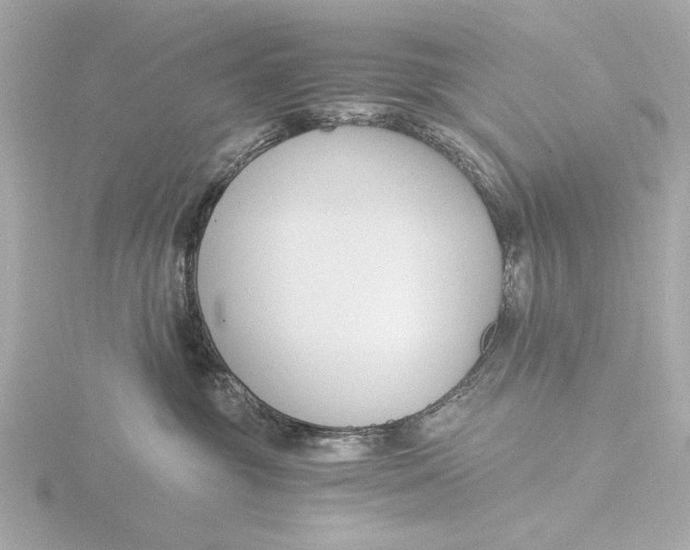 X0000116390381200912231114