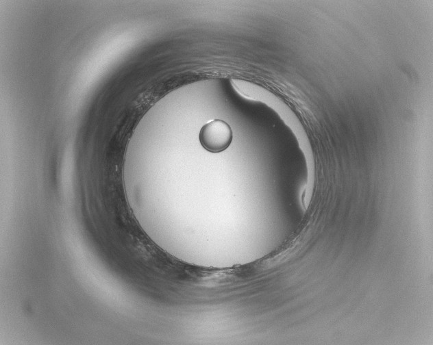 X0000116390382200912231114