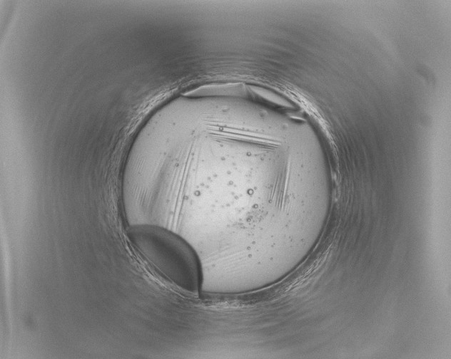 X0000116390385200912231113