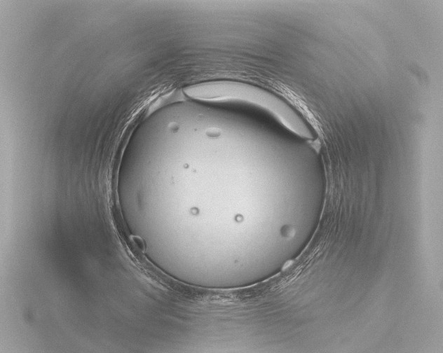 X0000116390386200912231113