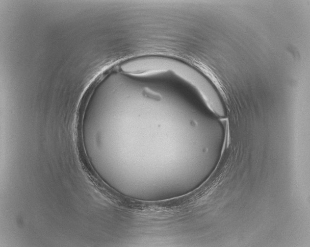 X0000116390387200912231113