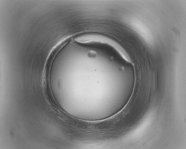 X0000116390388200912231113