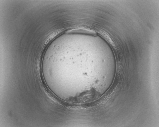 X0000116390389200912231113