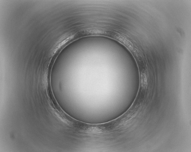 X0000116390390200912231113